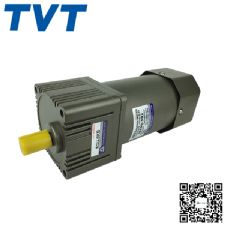 Micro AC motor 90W